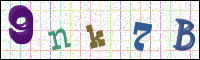 Image Verification