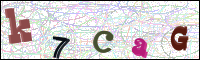 Image Verification