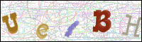Image Verification