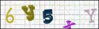 Image Verification