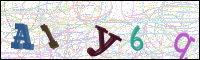 Image Verification