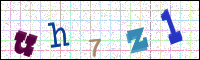 Image Verification