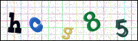 Image Verification