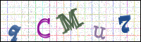 Image Verification