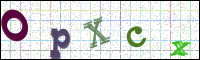 Image Verification